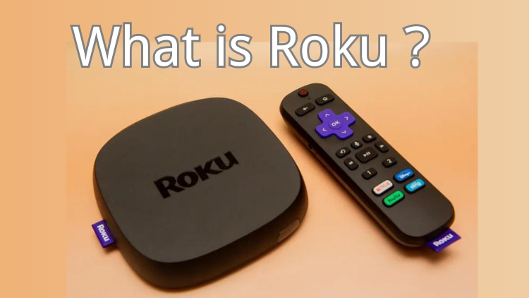 what-is-roku